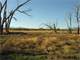 233848 - 9.35 Acres in the Shadow the Collegiate Peaks in Nathrop CO Photo 11