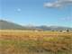 233848 - 9.35 Acres in the Shadow the Collegiate Peaks in Nathrop CO Photo 4