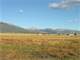 233848 - 9.35 Acres in the Shadow the Collegiate Peaks in Nathrop CO Photo 4