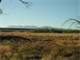 233848 - 9.35 Acres in the Shadow the Collegiate Peaks in Nathrop CO Photo 7