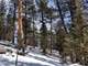 4 Acres Treed with Southern Sun West Divide Photo 4