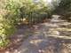 Custom Home with Shop Stalls Trails and Pond ON Wooded Acres Photo 16