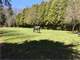 Unique Horse Farm- Lovely Home Barn Ring Drylot Field Trails Preserves Photo 6