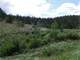 5.3 Acres Close National Forest Photo 6