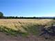 Fly Into Your Own Horse Ranch Photo 13