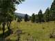 8.9 Acres Bordering Government Land Photo 2