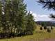 8.9 Acres Bordering Government Land Photo 4