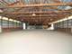 Income Opportunity Acre Stall Equestrian Facility 2 Indoor Arenas Photo 10