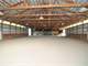 Income Opportunity Acre Stall Equestrian Facility 2 Indoor Arenas Photo 10