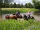 Stunning Horse and Cattle Ranch with Professional Equine Facility Photo 15