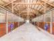 Tarpon Springs Equestrian Facility-Possible Land Development Opportunity Photo 3