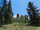 5.3 Acres Close National Forest