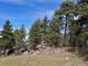 Acreage with a Pond Bordering Government Land Photo 2