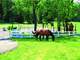 Beautiful Eight-Plus Acre Equestrian Estate Photo 20