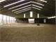 Move-In-Ready Horse Property with Indoor and Outdoor Arenas Photo 8