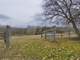 Country Equestrian Estate ON Acres with Stately 4500 Home Photo 15