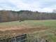 Organic Farm with Little Yadkin River Frontage Barn Renovated Farmhouse Photo 6