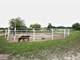 Amazing Turn Key Horse Farm for Sale Photo 7