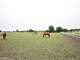 Amazing Turn Key Horse Farm for Sale Photo 9