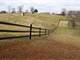 Distinctive Equestrian Estate and Horse Farm Photo 3