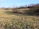 Distinctive Equestrian Estate and Horse Farm Photo 8