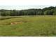 1935 Farmhouse ON Acres with Stream Barn Fencing Mountain Views Photo 10