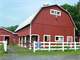 Turn-Key Horse Farm with Large Farmhouse Photo 3