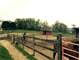 Turn-Key Horse Farm with Large Farmhouse Photo 8