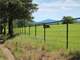 Horse Ranch Cattle Ranch Prime Pasture National Forest New Riding Arena Photo 19