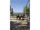 Wilson Ranch 191 Acres Custom Home Arena Barns Pasture - Northern CA Photo 17