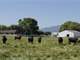 Wilson Ranch 191 Acres Custom Home Arena Barns Pasture - Northern CA Photo 2