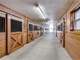 Outstanding Horse Trainingboarding Facility Between Milwaukee Madison Photo 7