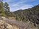 27.5 Acres From the 1890S Tucked in with Your Own Hidden Canyon Photo 7