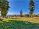 Spectacular View Property Equestrian Ready Photo 16