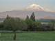 Amazing Northern California Horse Facility and Home Shasta Shadow Ranch Photo 20