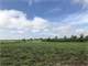 Ag-Exempt Acres with Dairy Barn Commodity Barn and Addtl Building