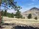 Gently Rolling with the Perfect Mix Tall Pine Trees and Open Meadows
