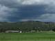 Horse Heaven in New Mexico