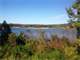 Jessamine Lake Waterfront Acres with Stream and Pastures Mature Trees