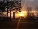Northwest FL Dairy Farm 300- Acres